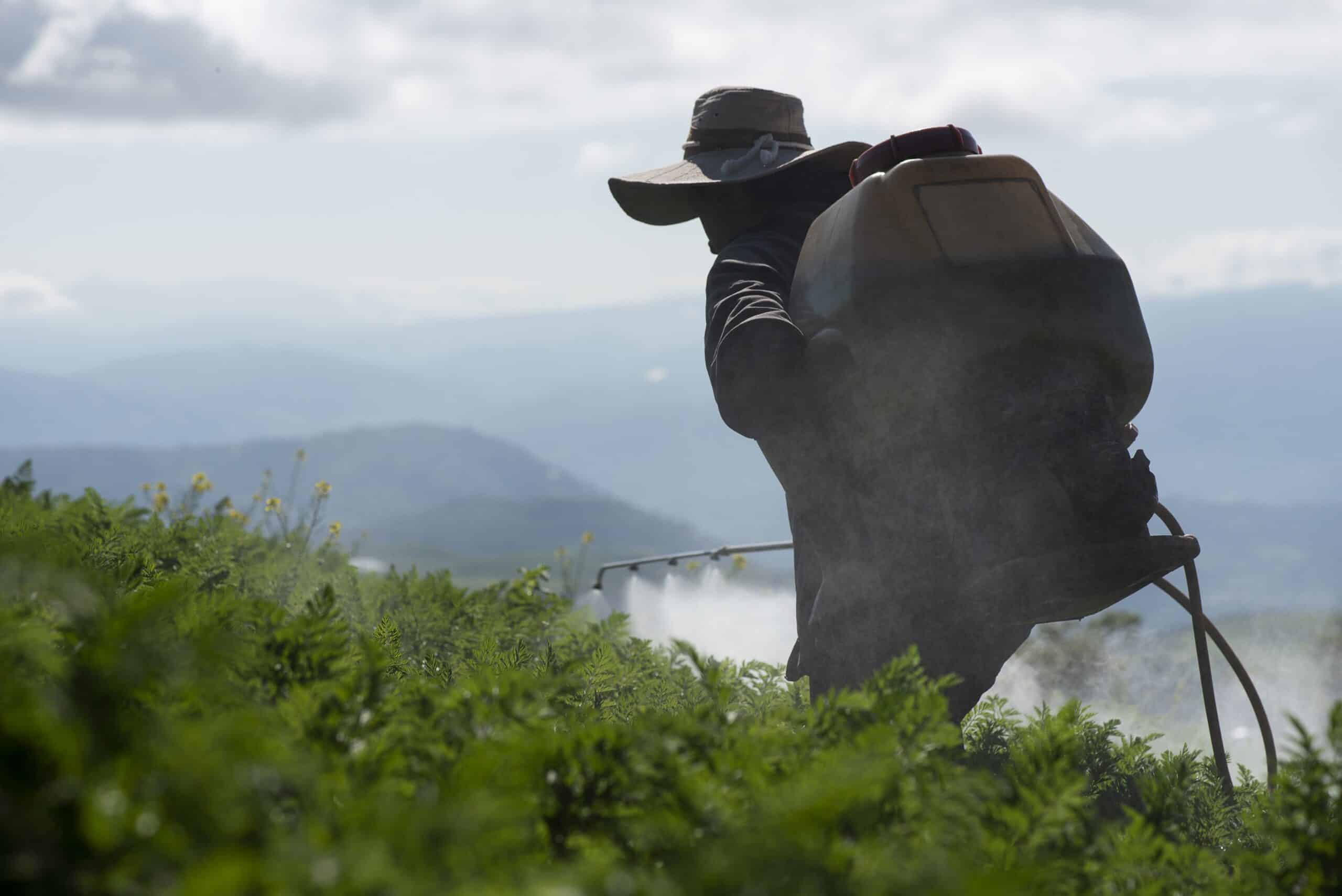 Un pesticide de Syngenta pollue l’eau potable au Costa Rica